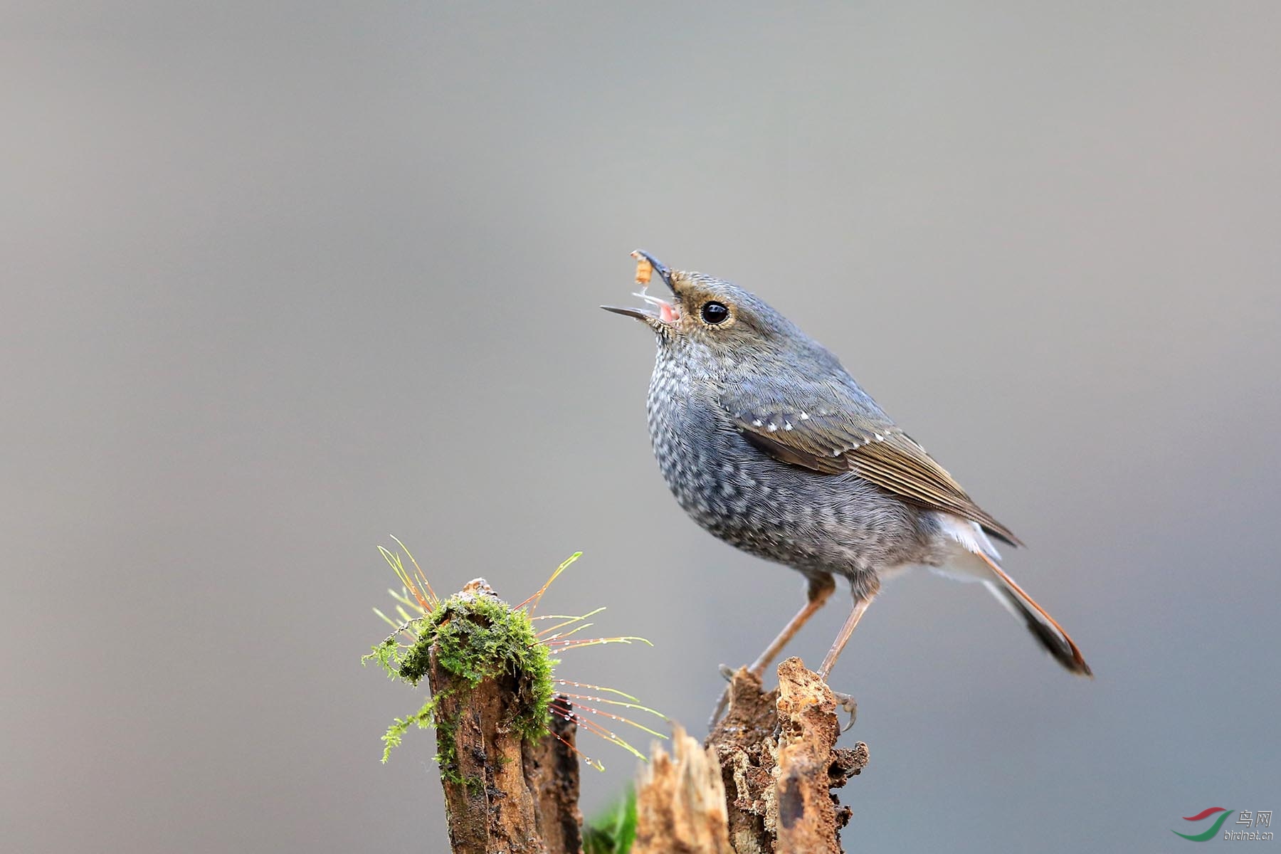 1E7A5393 ����.jpg