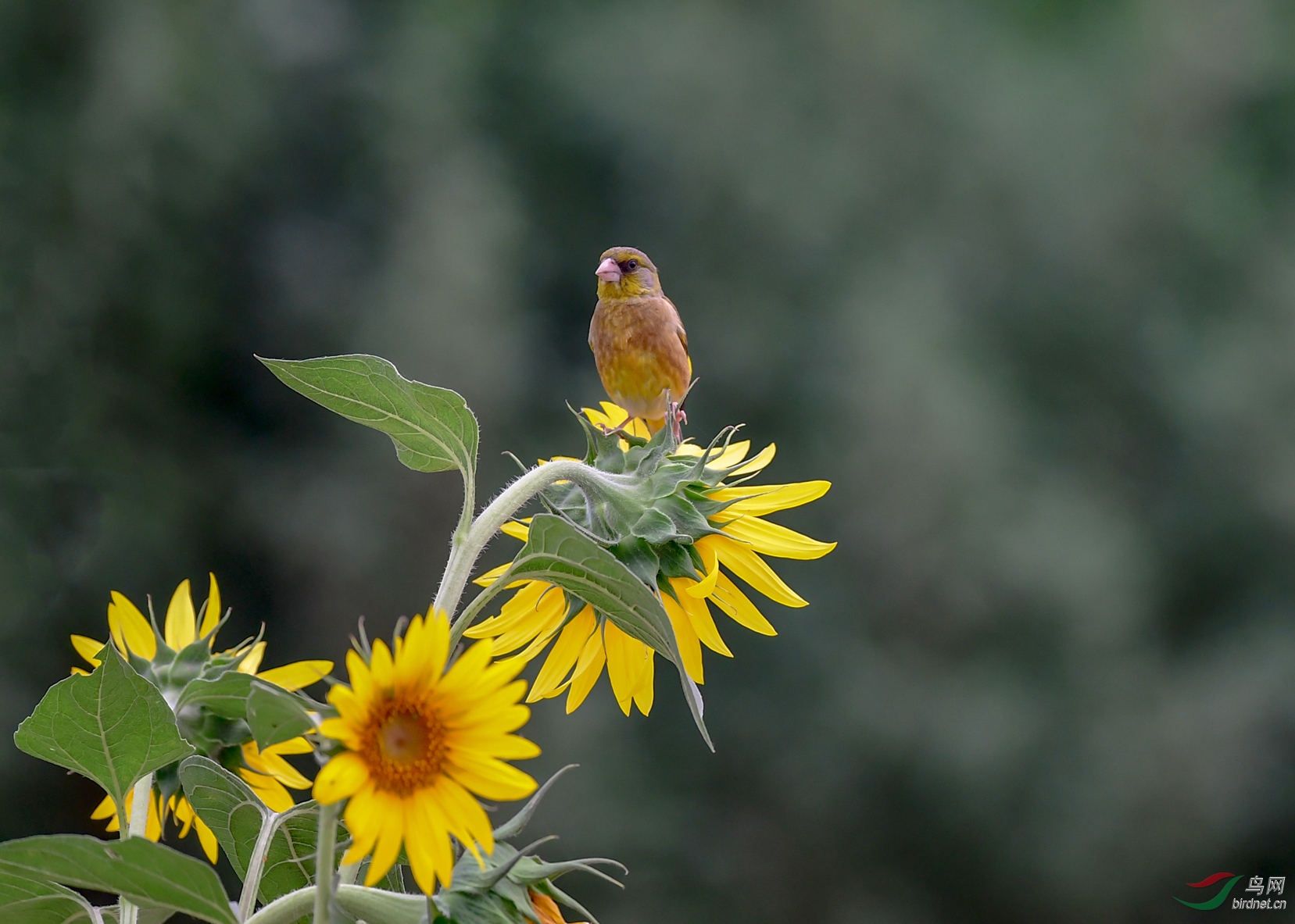 ��Ƭ 120_����_����.jpg