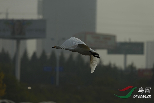 _E8J2352.jpg