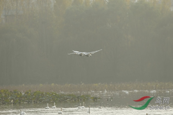 _E8J2603.jpg