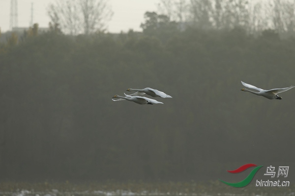 _E8J2150.jpg
