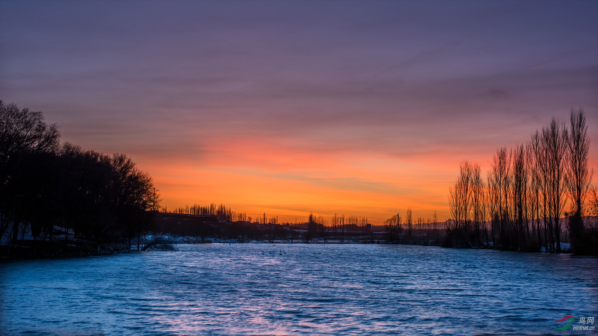 DSC_0439.jpg