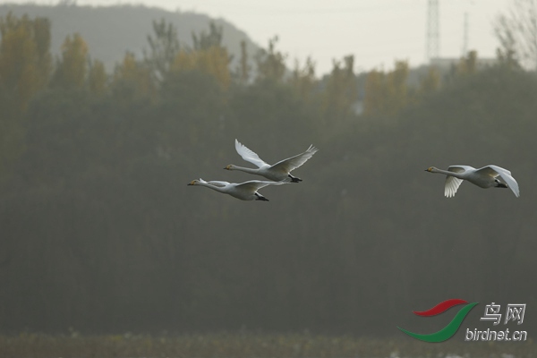 _E8J2153.jpg
