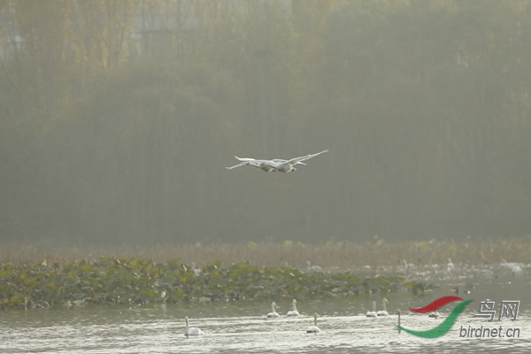 _E8J2604.jpg