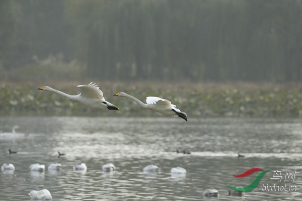 _E8J2003.jpg