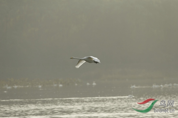 _E8J2659.jpg