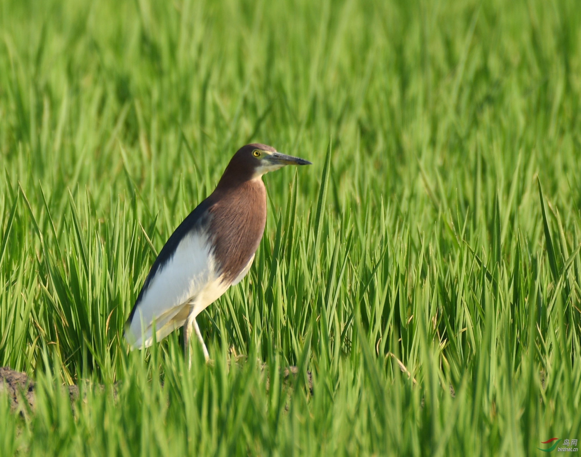 ������Ӱ 226����.jpg