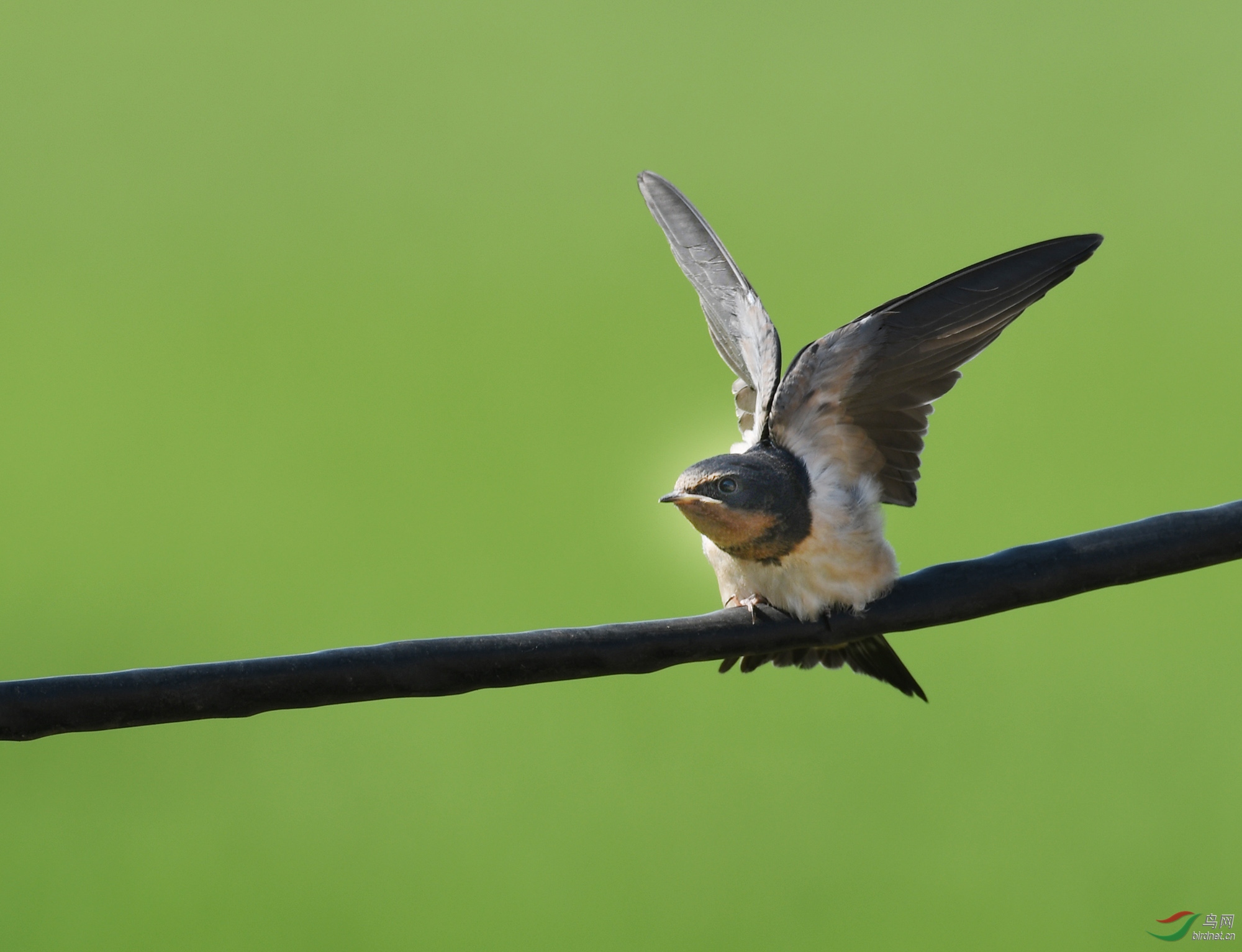 ������Ӱ 600����.jpg