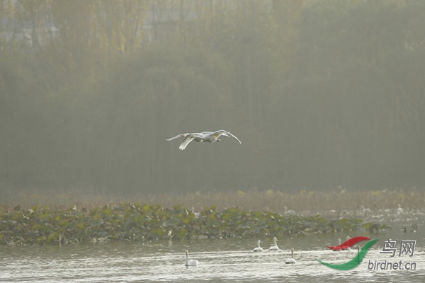 _E8J2606.jpg