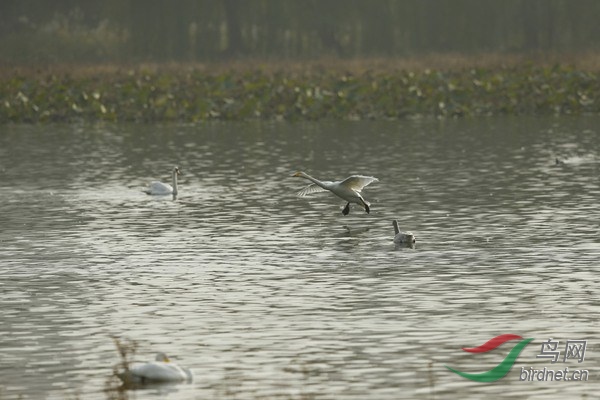 _E8J2440.jpg