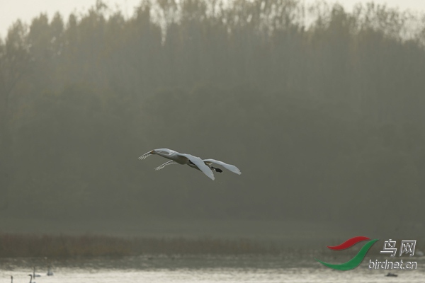 _E8J2235.jpg