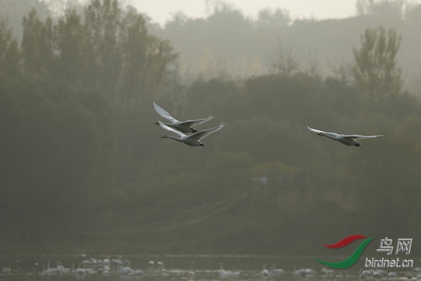_E8J2139.jpg