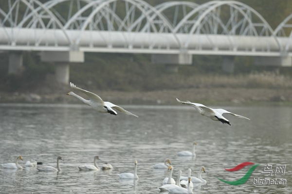 _E8J2012.jpg
