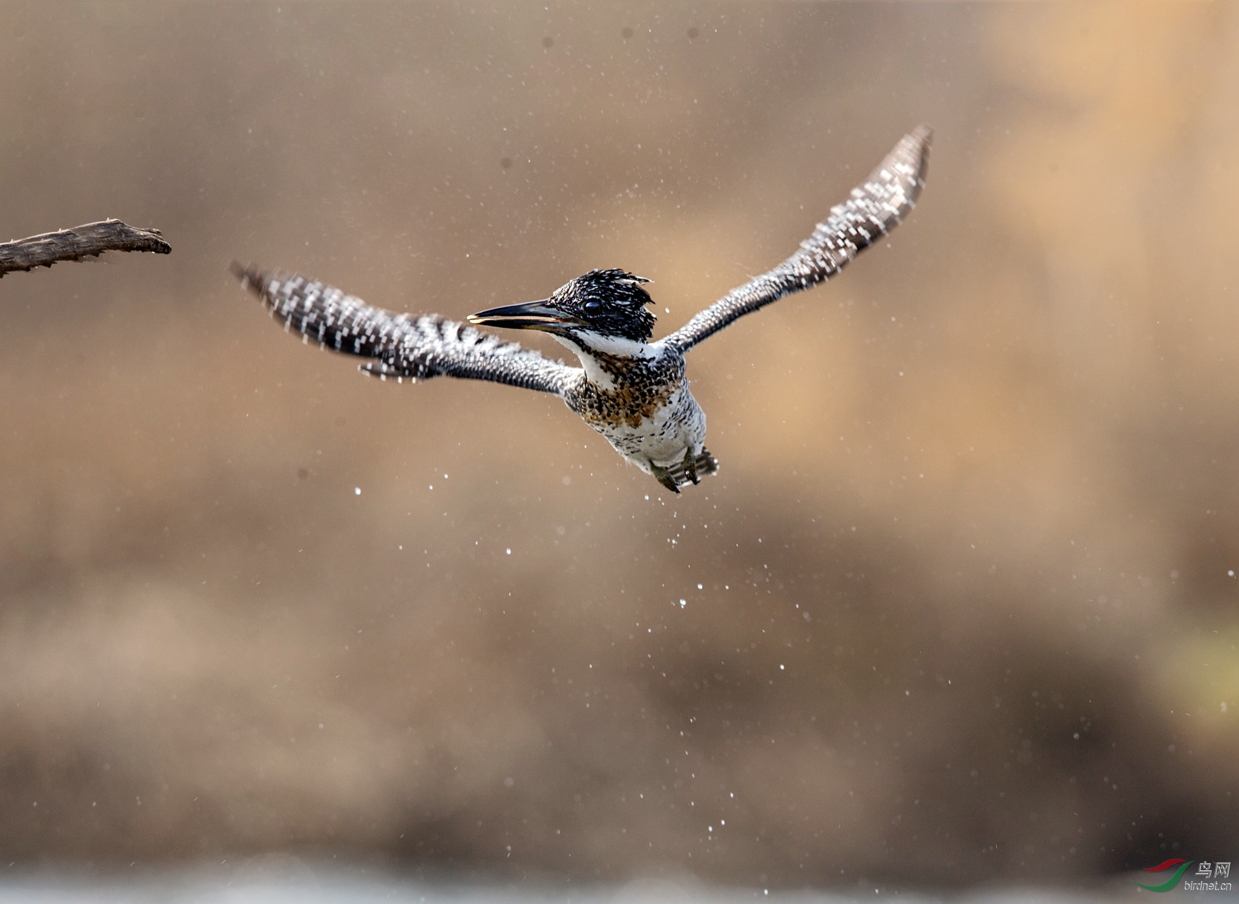 BW4Q5295 - ����.jpg