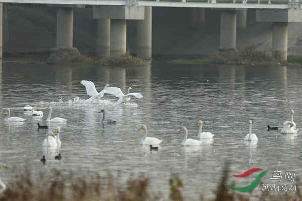 _E8J2041.jpg