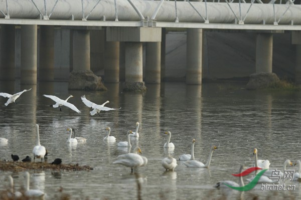 _E8J2187.jpg