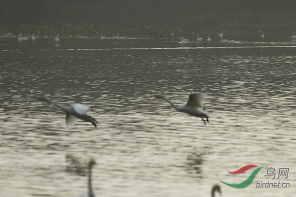 _E8J2263.jpg