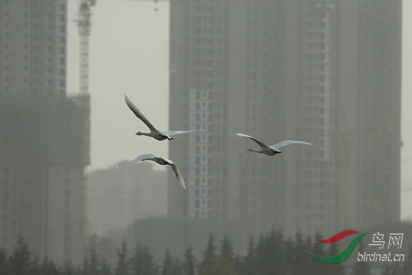 _E8J2410.jpg