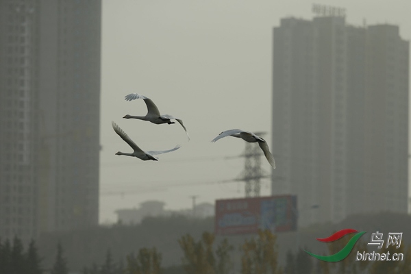 _E8J2407.jpg