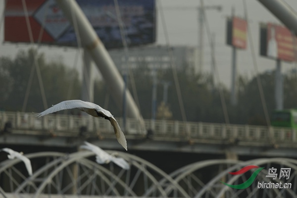 _E8J2358.jpg