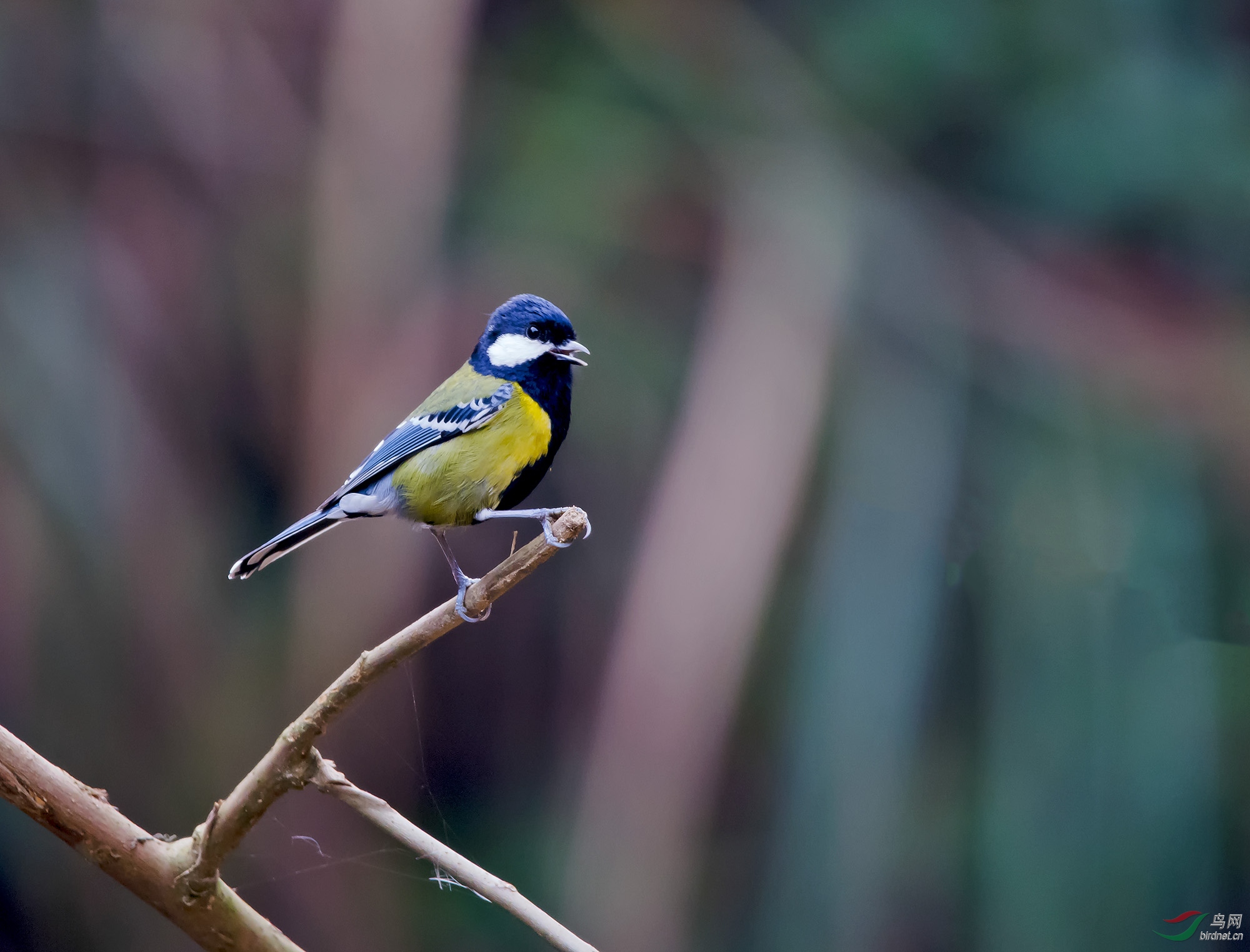 DSC_7508.jpg