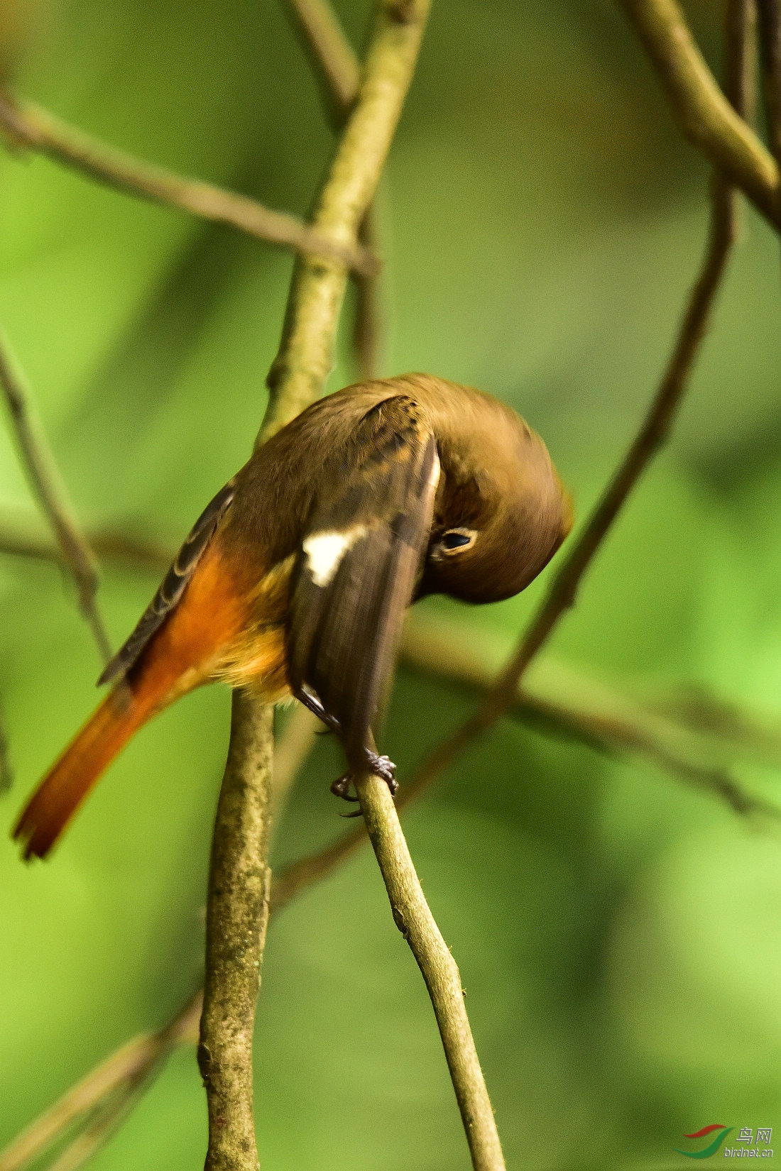 DSC_0256.JPG
