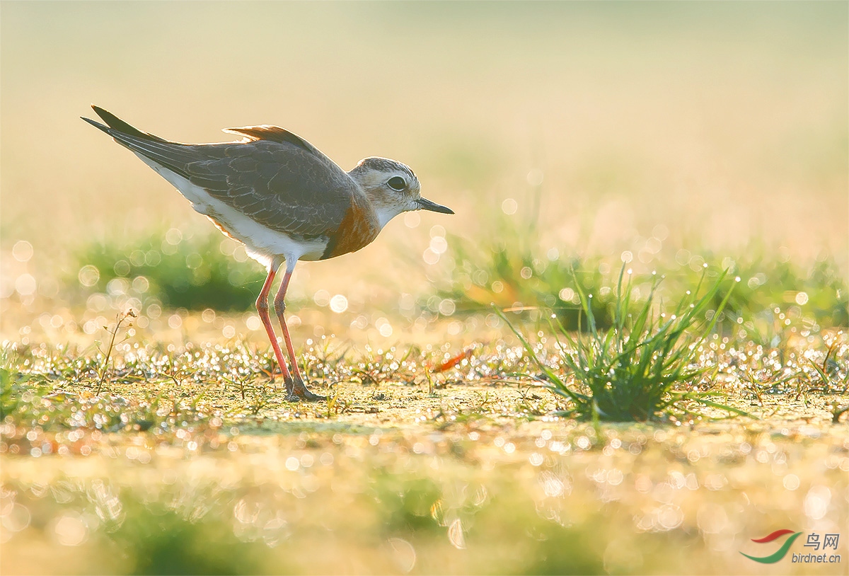 DSC_8105 ����AA-11.jpg