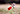 D91P9920.JPG