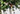 DSC_7821.JPG.jpg