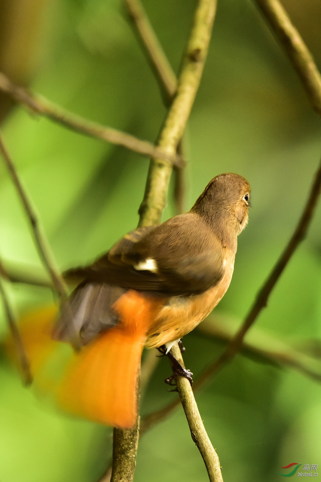 DSC_0259.JPG