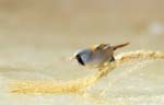11 (190).JPG