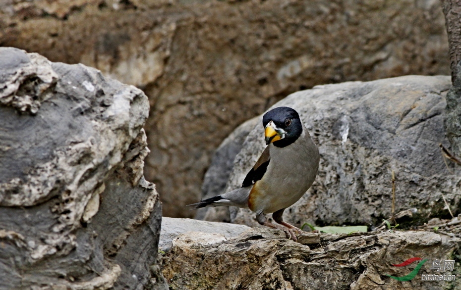 _MG_9040.jpg