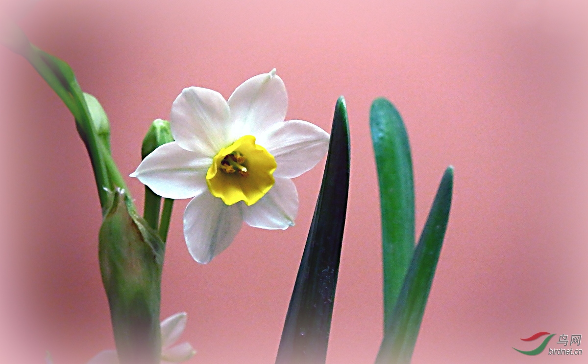 P2062573.jpg