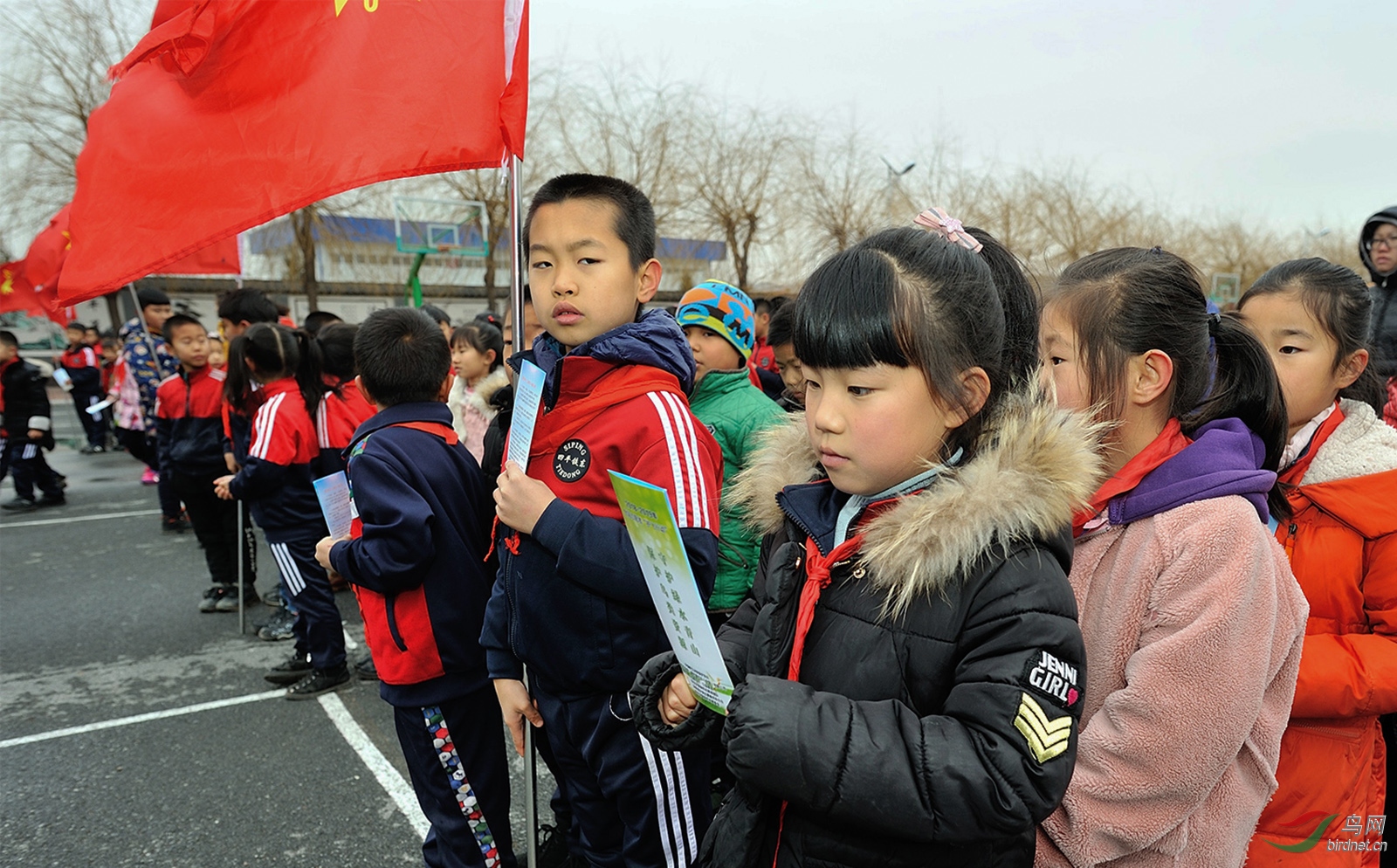 Ҷ����Сѧ�������Ұ������������