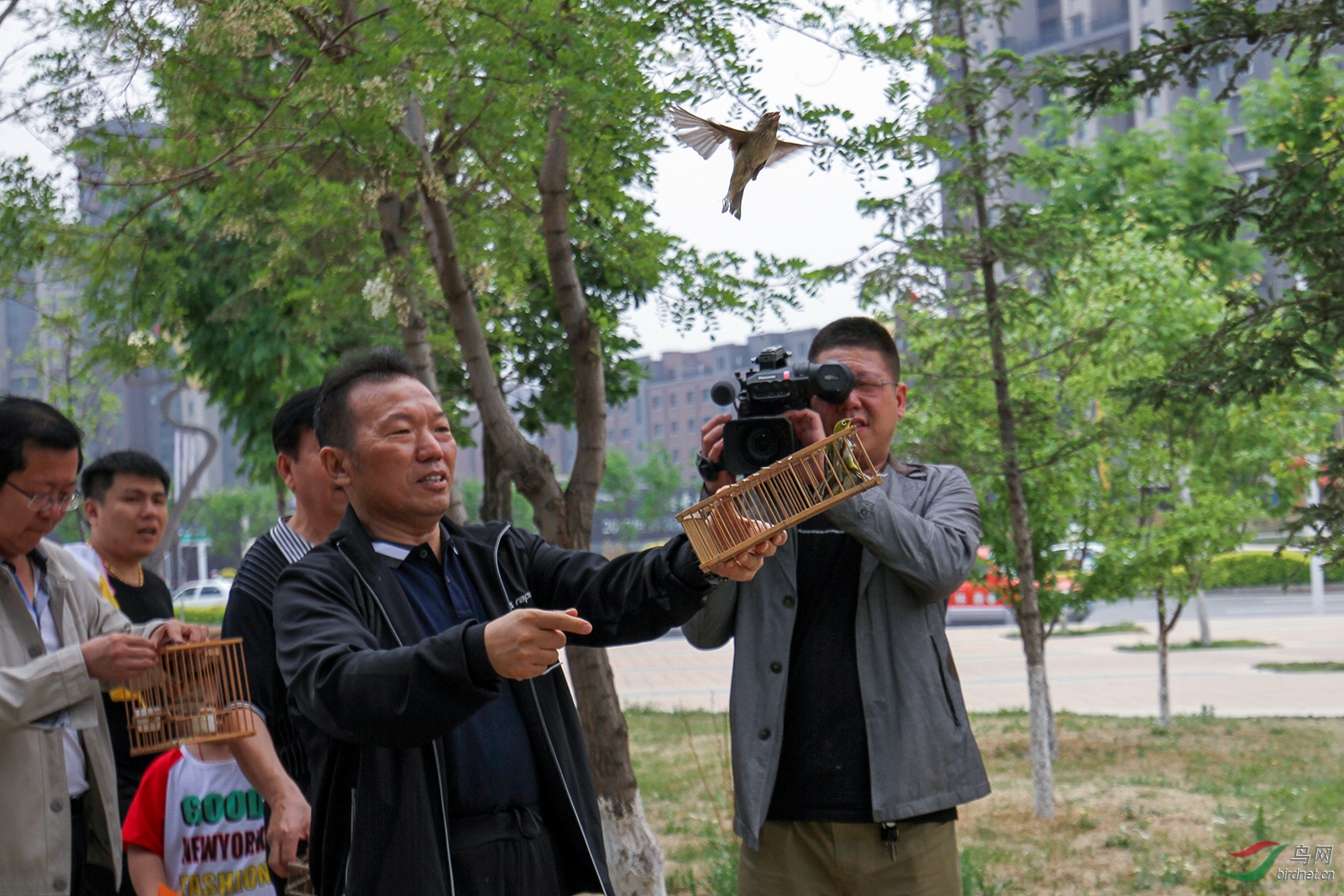 �ŷ��սɵ����