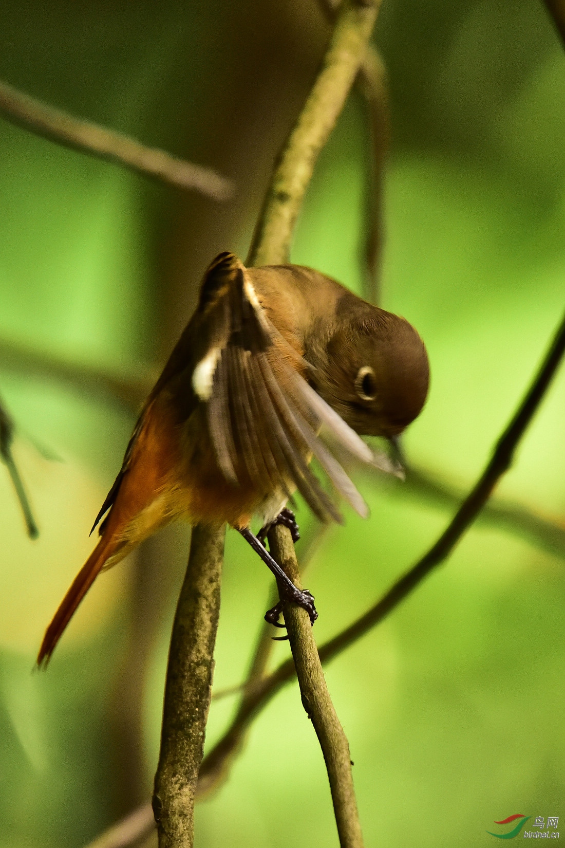 DSC_0263.JPG