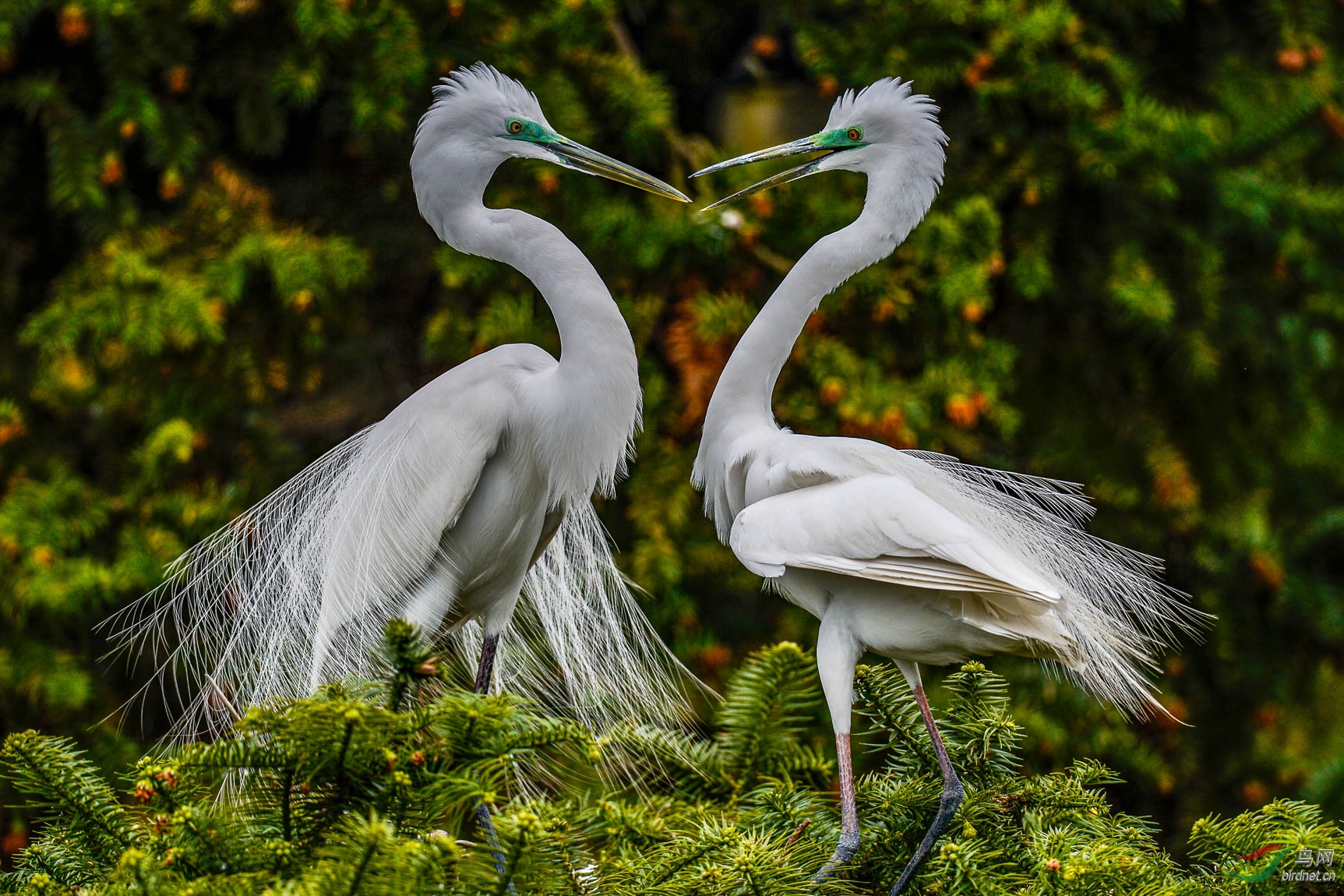 _DSC3396���� (1).JPG