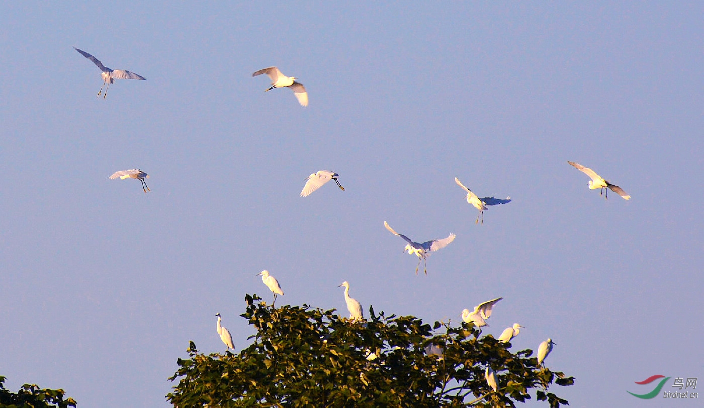 DSC_4392.JPG
