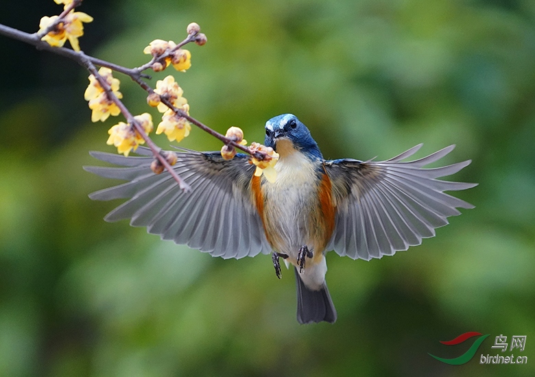 DSC03263---.jpg