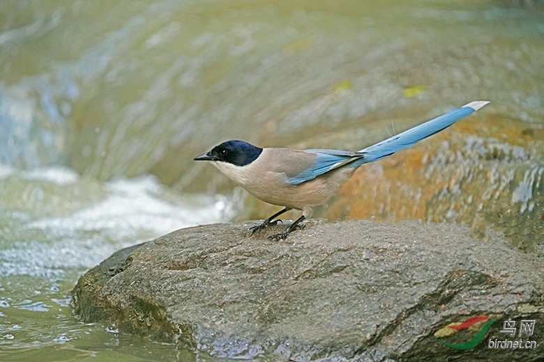 DSC02730---.jpg