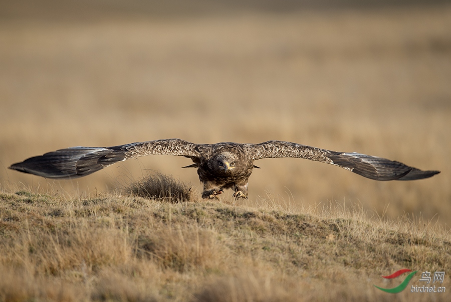 Photo taken on 2016-10-12 08-45-54 (5).jpg