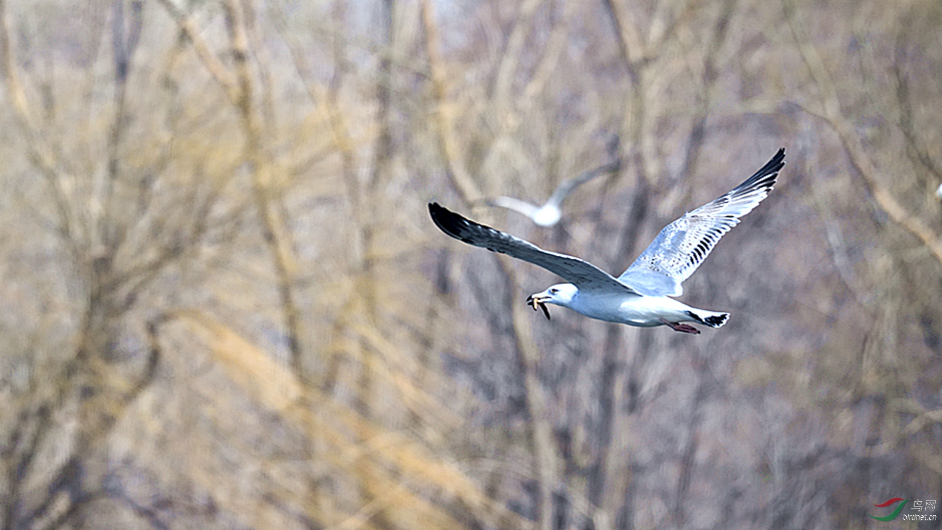 DSC_7837_00001_����.jpg
