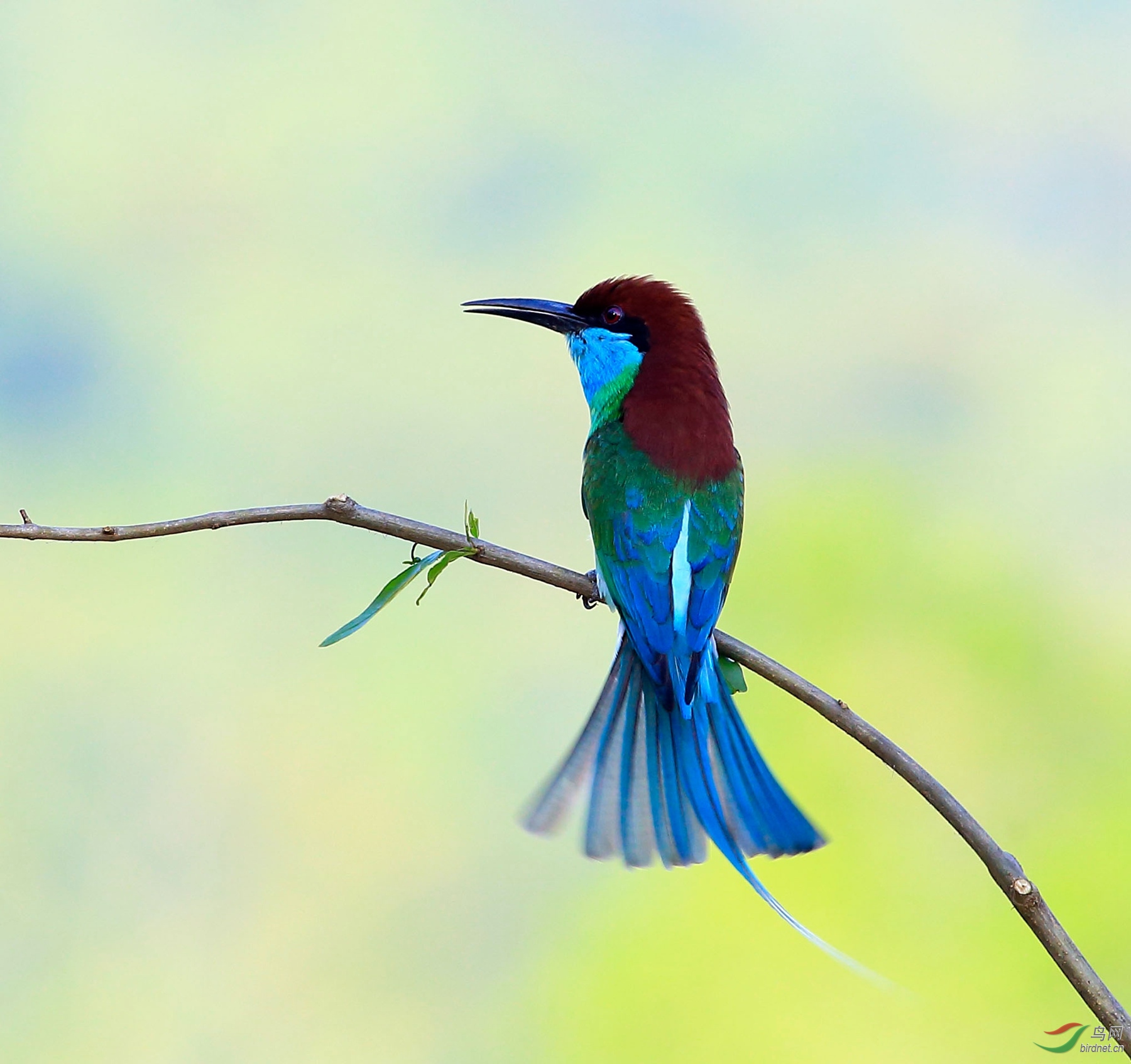 2019-06-04 16-36-35.JPG