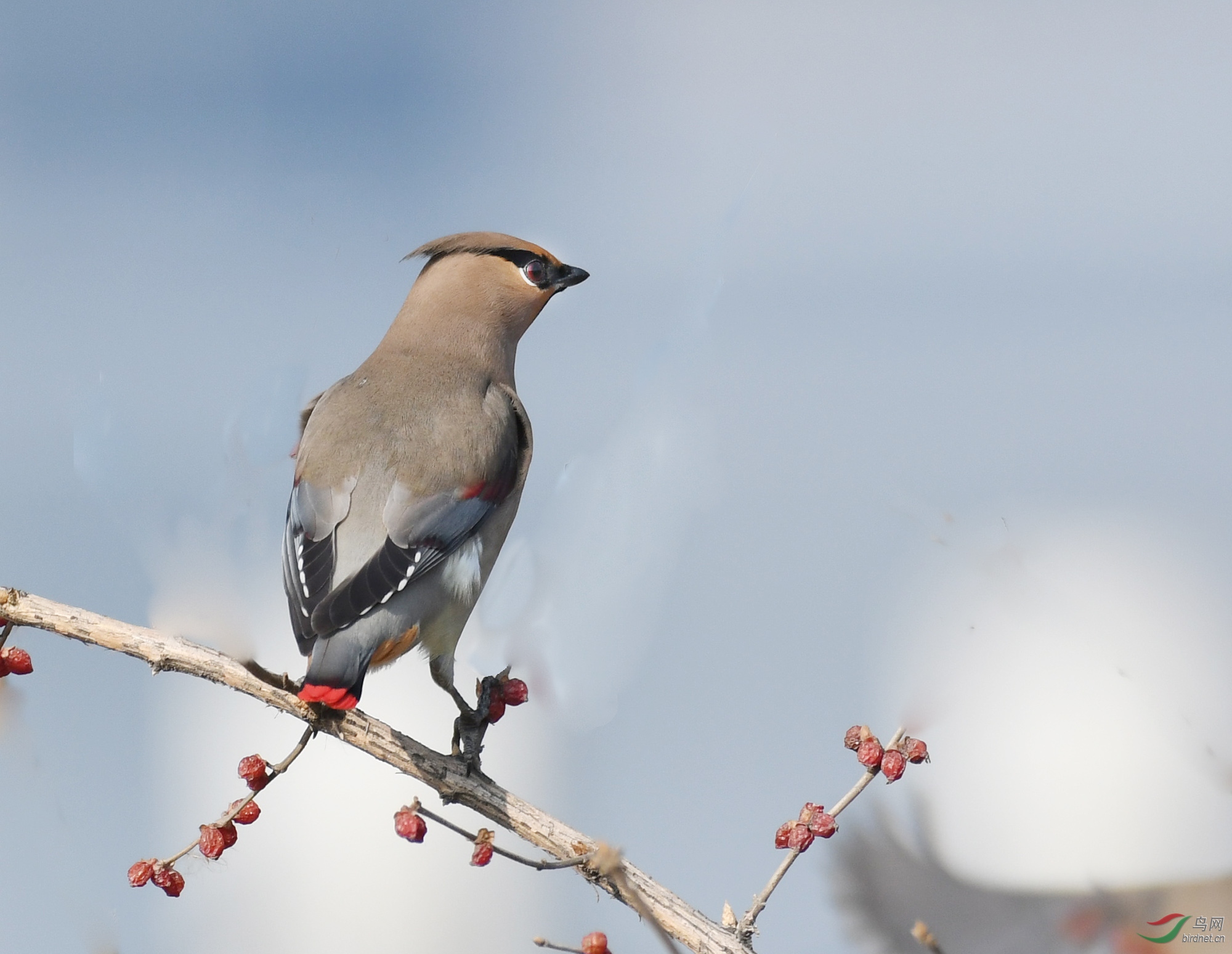 ������Ӱ 3277����.jpg