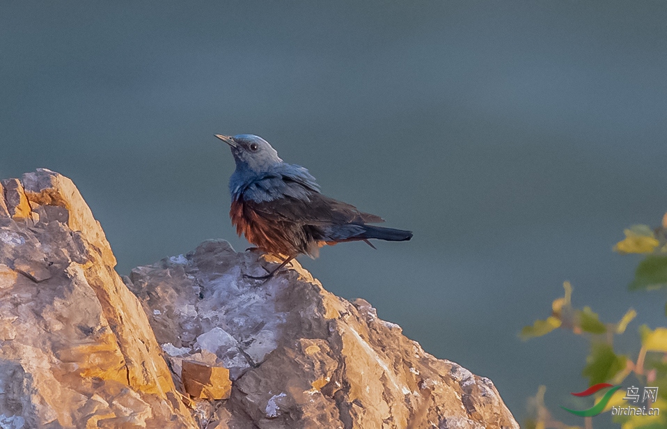 _K8I3442  01_����.jpg