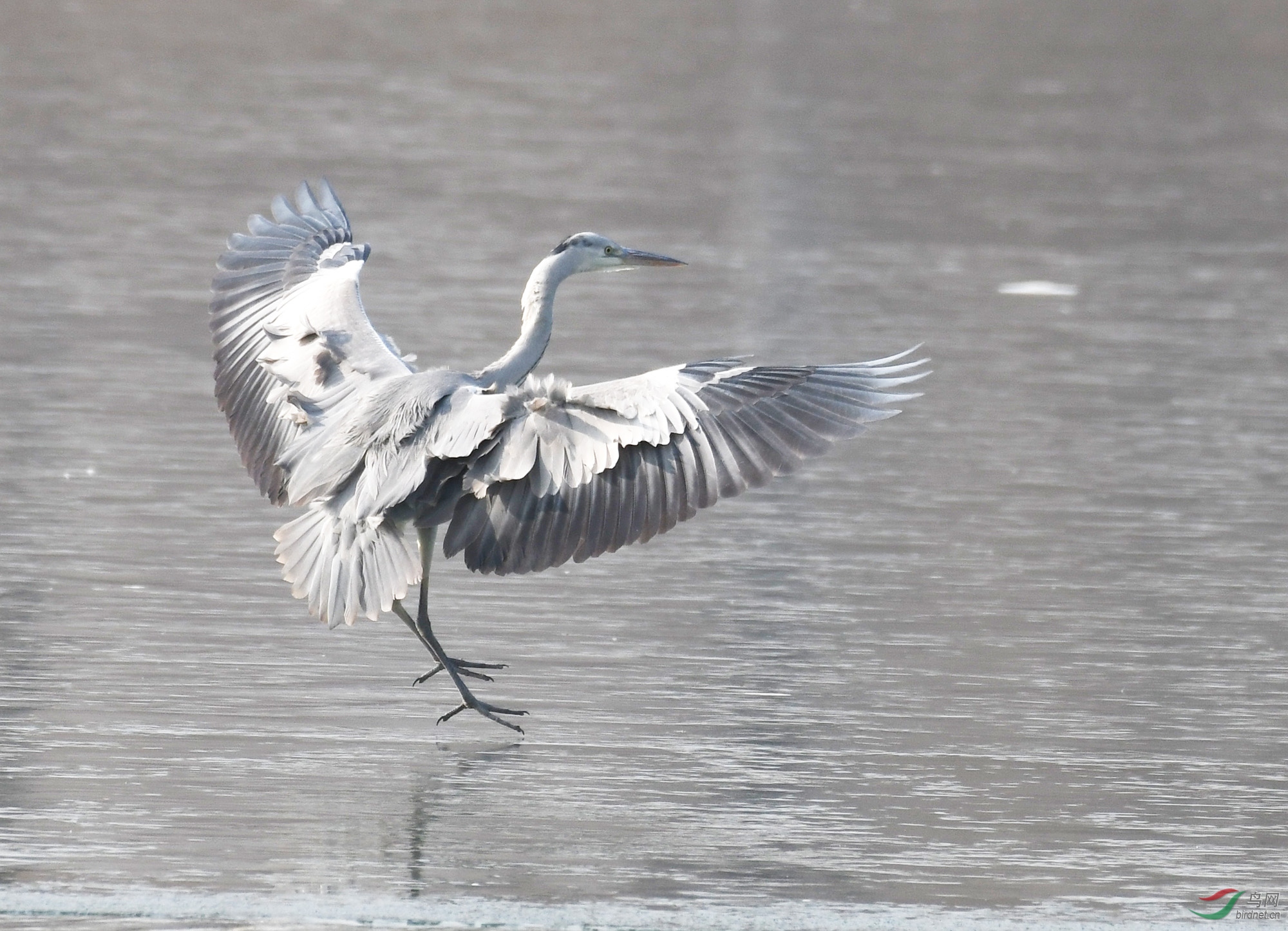 ������Ӱ 2942����.jpg