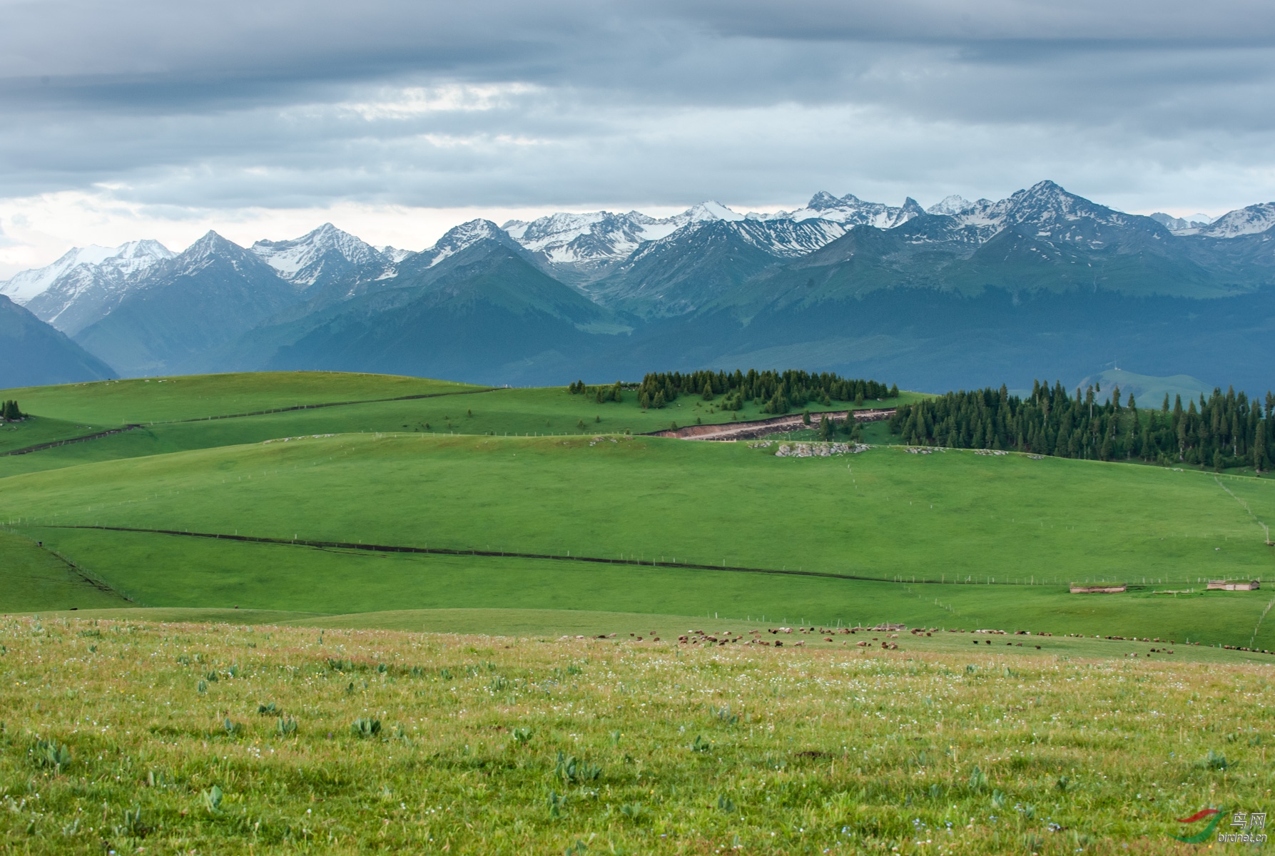 _DSC2895.jpg