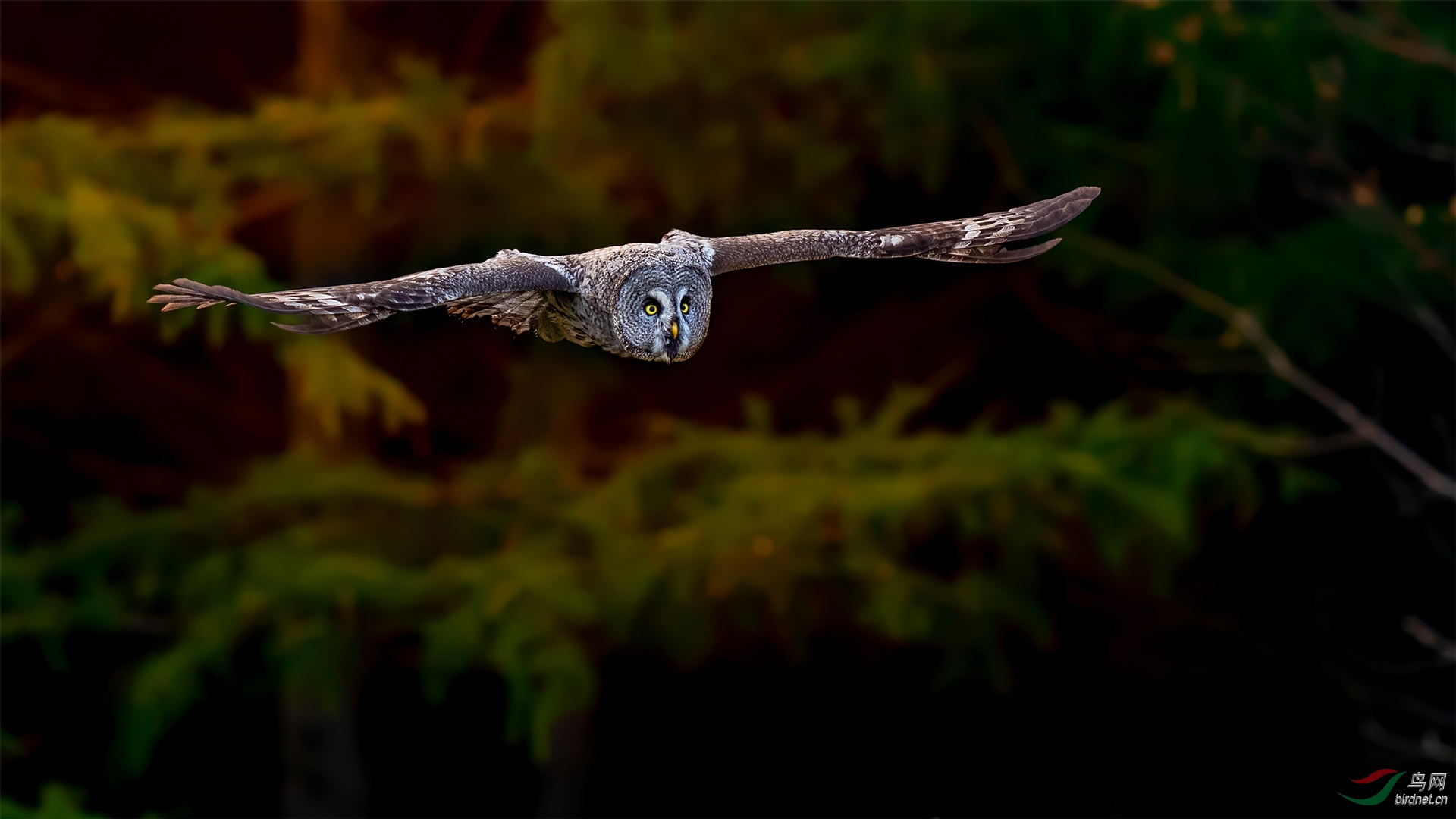 DSC06122-1.jpg