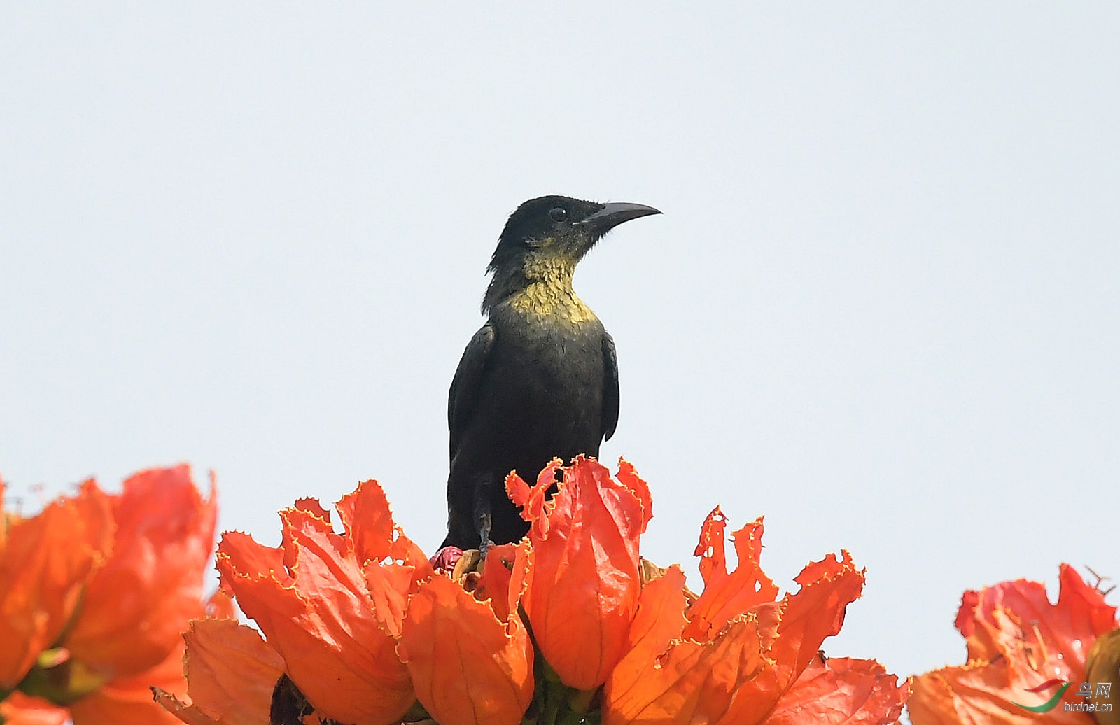 DSC_9904.JPG