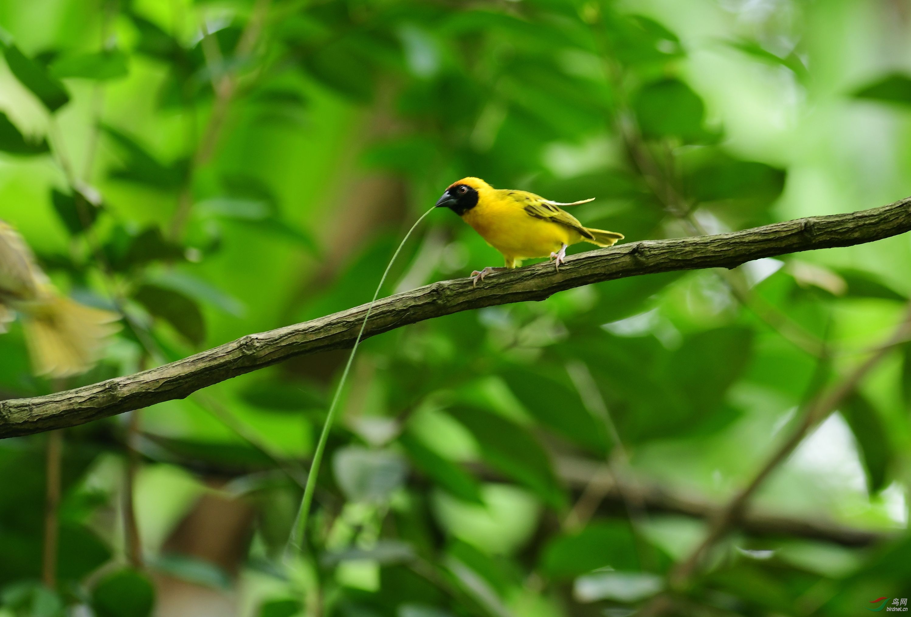 DSC_4634.JPG